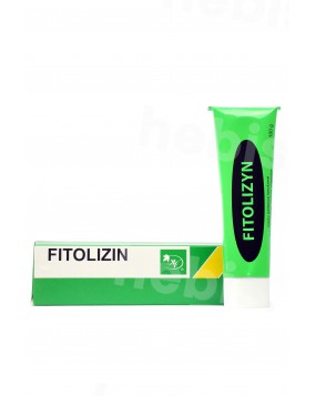 Valgomoji pasta Fitolizin, 100 g